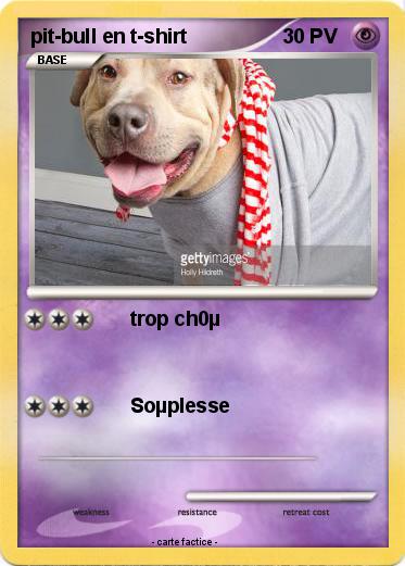 Pokemon pit-bull en t-shirt
