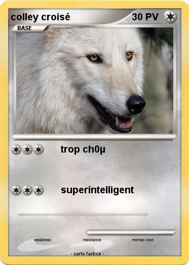 Pokemon colley croisé