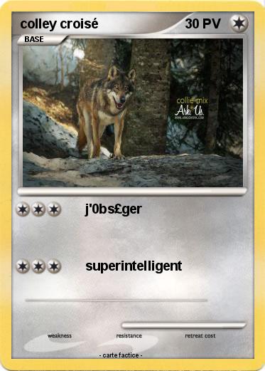 Pokemon colley croisé