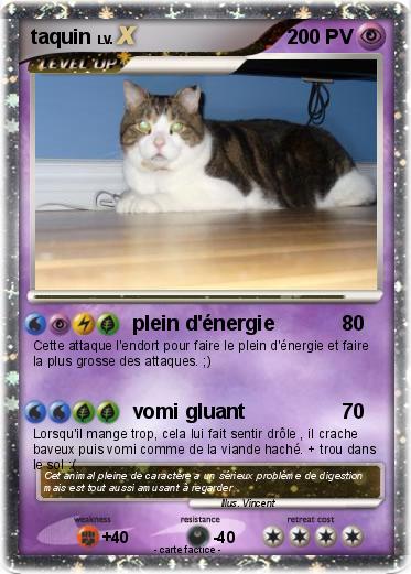 Pokemon taquin