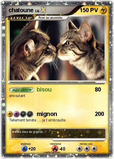 Pokemon chatoune