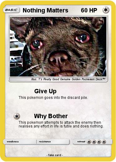 Pokemon Nothing Matters