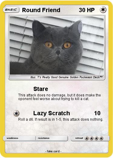Pokemon Round Friend