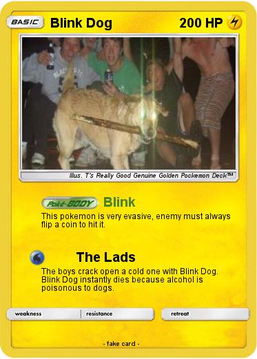 Pokemon Blink Dog