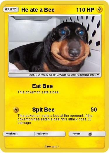 Pokemon He ate a Bee