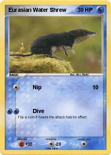 Pokemon Eurasian Water Shrew