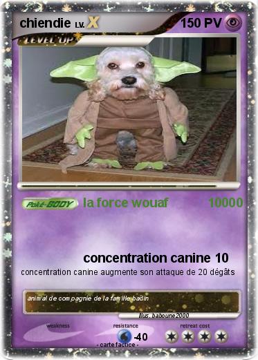 Pokemon chiendie