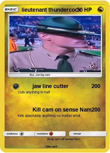 Pokemon lieutenant thundercock