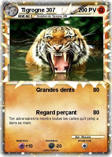 Pokemon Tigrogne 307