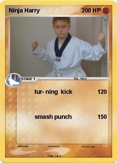 Pokemon Ninja Harry