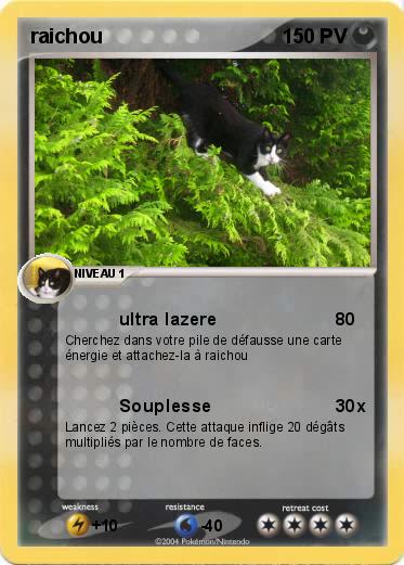 Pokemon raichou