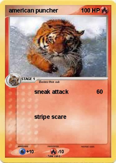 Pokemon american puncher