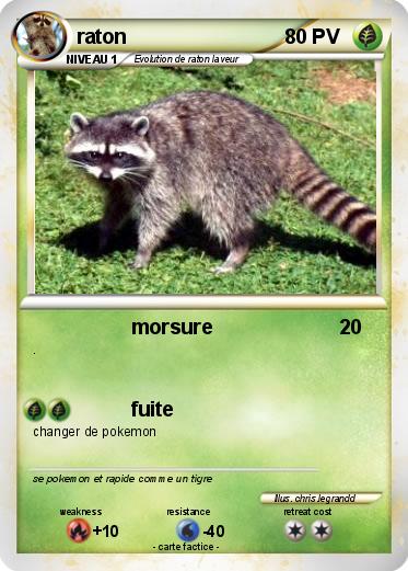 Pokemon raton