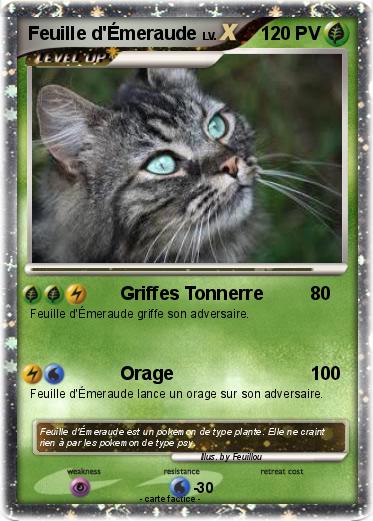 Pokemon Feuille d'Émeraude