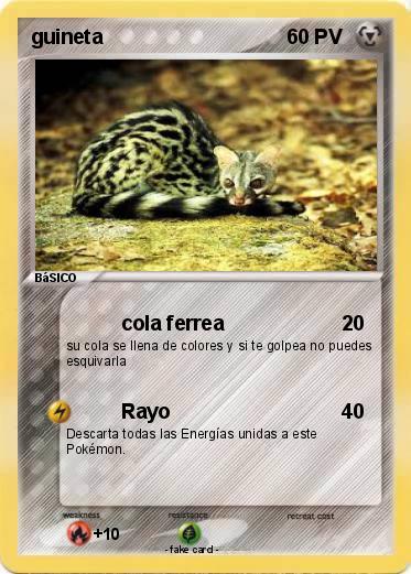 Pokemon guineta