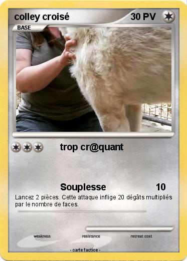 Pokemon colley croisé