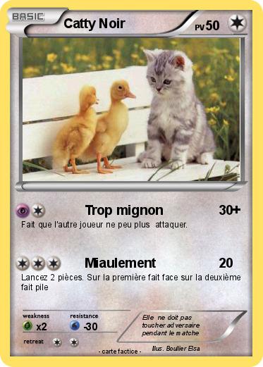 Pokemon Catty Noir