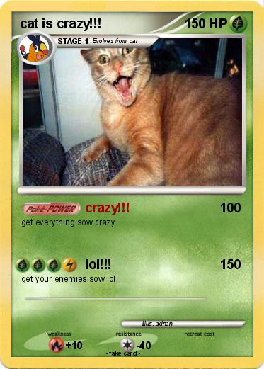 Pokemon cat is crazy!!!