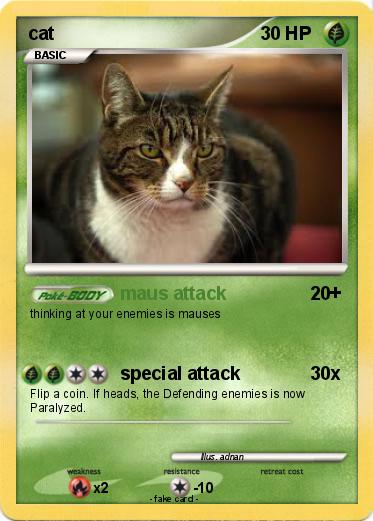 Pokemon cat