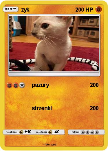 Pokemon zyk