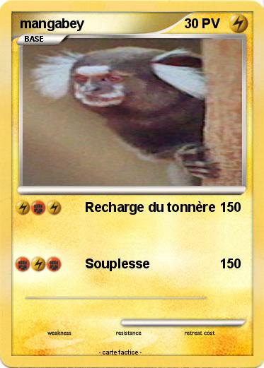 Pokemon mangabey