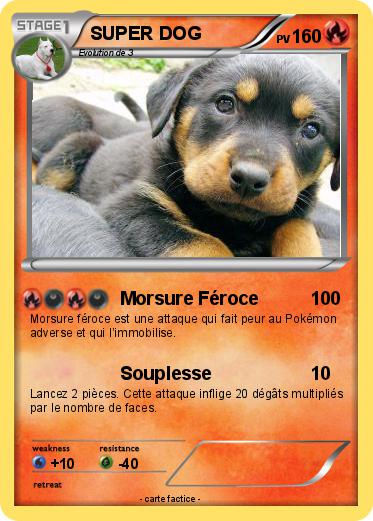 Pokemon SUPER DOG