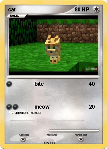 Pokemon cat