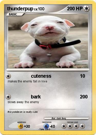 Pokemon thunderpup