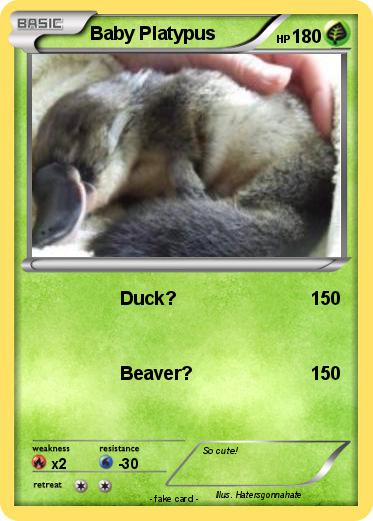 Pokemon Baby Platypus