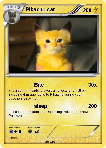 Pokemon Pikachu cat