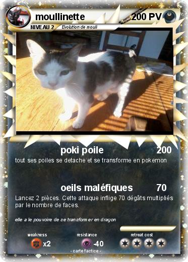 Pokemon moullinette