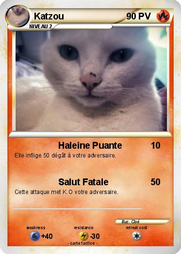 Pokemon Katzou