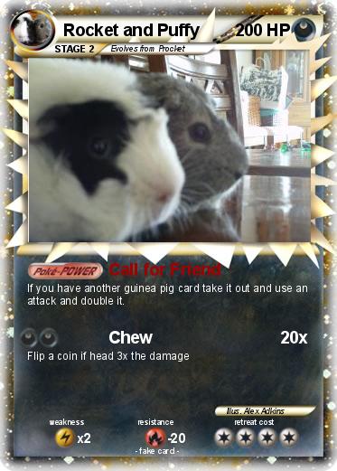 Pokemon Rocket and Puffy