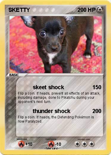 Pokemon SKETTY