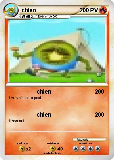 Pokemon chien