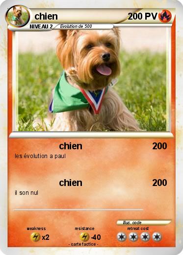 Pokemon chien