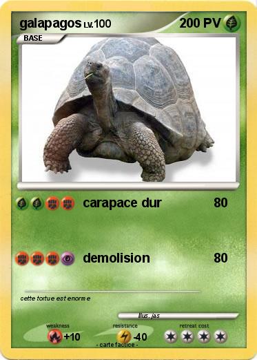 Pokemon galapagos