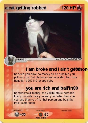 Pokemon a cat getting robbed