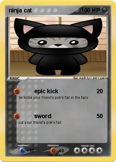 Pokemon ninja cat