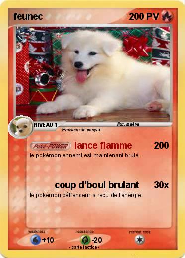 Pokemon feunec
