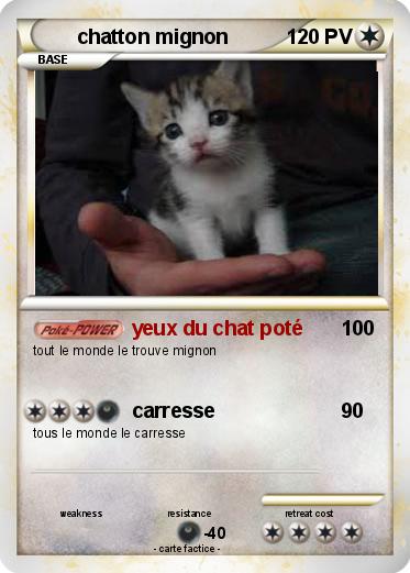 Pokemon chatton mignon