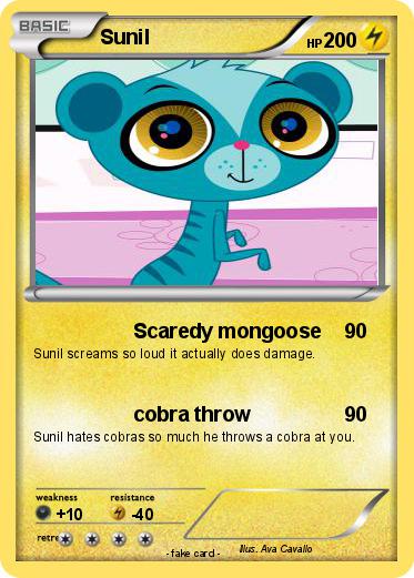Pokemon Sunil