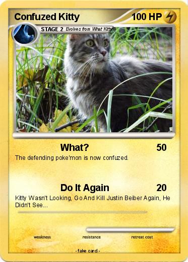 Pokemon Confuzed Kitty