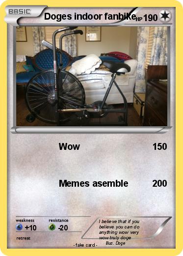 Pokemon Doges indoor fanbike