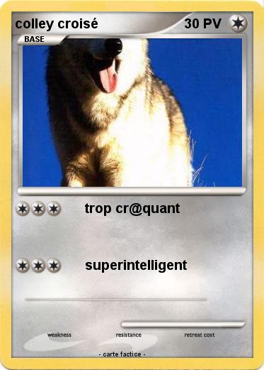 Pokemon colley croisé