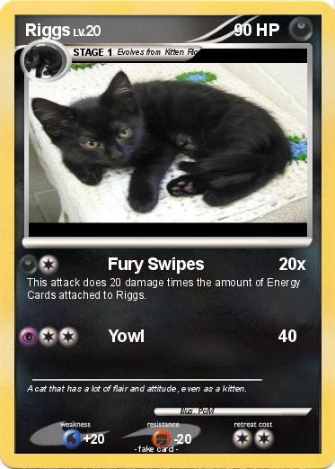Pokemon Riggs
