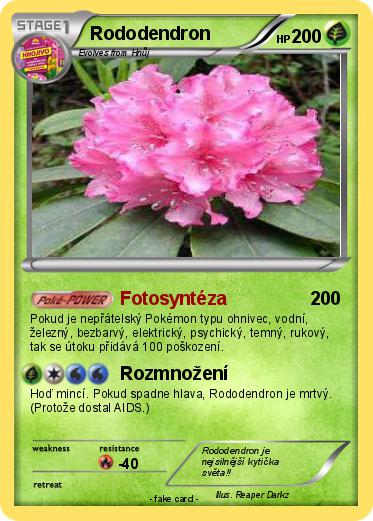 Pokemon Rododendron