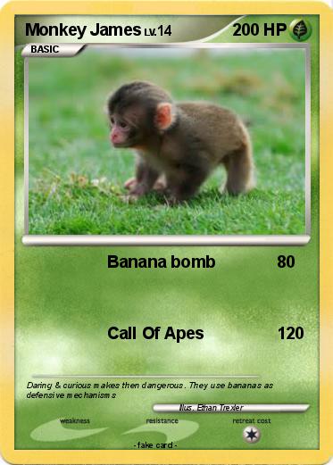 Pokemon Monkey James