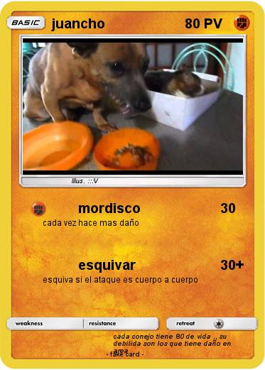 Pokemon juancho