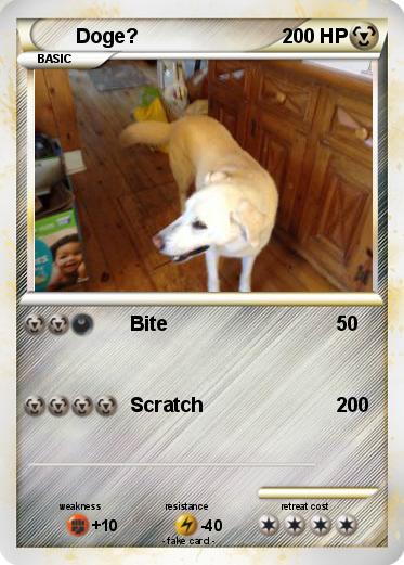 Pokemon Doge?